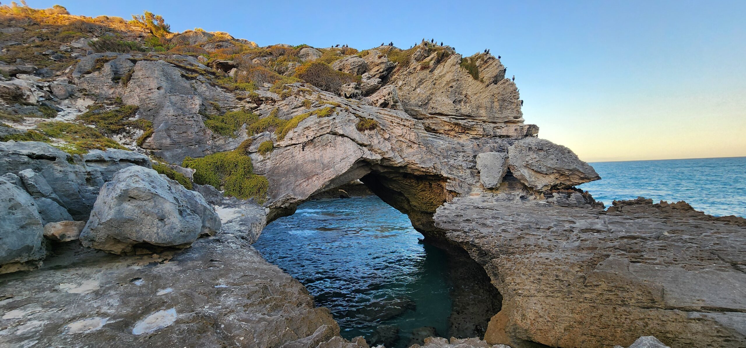 Coastal (4)